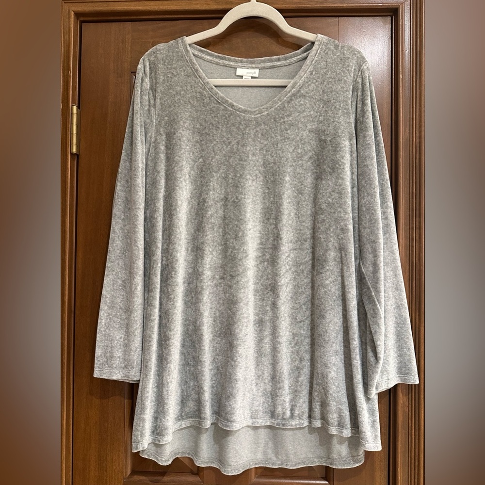 J. Jill Gray Velour Swing Tunic Top1X